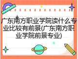 广东南方职业学院读什么专业比较有前景(广东南方职业学院前景专业)