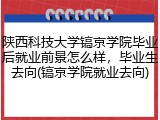 陕西科技大学镐京学院毕业后就业前景怎么样，毕业生去向(镐京学院就业去向)