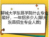 聊城大学东昌学院什么专业最好，一年招多少人(聊大东昌招生专业人数)