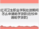 红河卫生职业学院在读期间怎么申请助学贷款(在校申请助学贷款)