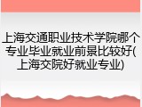 上海交通职业技术学院哪个专业毕业就业前景比较好(上海交院好就业专业)