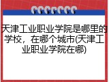 天津工业职业学院是哪里的学校，在哪个城市(天津工业职业学院在哪)