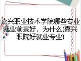 嘉兴职业技术学院哪些专业就业前景好，为什么(嘉兴职院好就业专业)