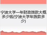 宁波大学一年财政拨款大概多少钱(宁波大学年拨款多少)