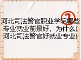 河北司法警官职业学院哪些专业就业前景好，为什么(河北司法警官好就业专业)