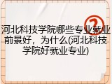 河北科技学院哪些专业就业前景好，为什么(河北科技学院好就业专业)