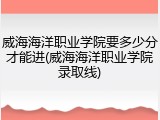 威海海洋职业学院要多少分才能进(威海海洋职业学院录取线)
