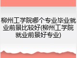 柳州工学院哪个专业毕业就业前景比较好(柳州工学院就业前景好专业)