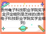贵州电子科技职业学院奖学金评定细则是怎样的(贵州电子科技职业学院奖学金细则)