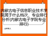 内蒙古电子信息职业技术学院属于什么档次，专业排行分析(内蒙古电子学院专业排行)