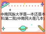 中南民族大学是一本还是本科第二批(中南民大是几本)