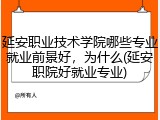 延安职业技术学院哪些专业就业前景好，为什么(延安职院好就业专业)