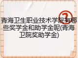 青海卫生职业技术学院有哪些奖学金和助学金呢(青海卫院奖助学金)