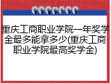 重庆工商职业学院一年奖学金最多能拿多少(重庆工商职业学院最高奖学金)