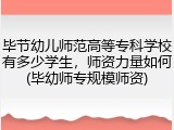 毕节幼儿师范高等专科学校有多少学生，师资力量如何(毕幼师专规模师资)