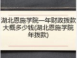 湖北恩施学院一年财政拨款大概多少钱(湖北恩施学院年拨款)
