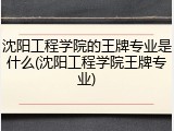 沈阳工程学院的王牌专业是什么(沈阳工程学院王牌专业)