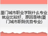 厦门城市职业学院什么专业就业比较好，原因是啥(厦门城市职院优势专业)