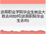 武昌职业学院毕业生就业大致去向如何(武昌职院毕业生去向)
