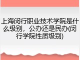 上海闵行职业技术学院是什么级别，公办还是民办(闵行学院性质级别)