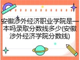 安徽涉外经济职业学院是一本吗录取分数线多少(安徽涉外经济学院分数线)