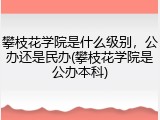 攀枝花学院是什么级别，公办还是民办(攀枝花学院是公办本科)