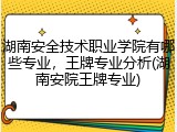 湖南安全技术职业学院有哪些专业，王牌专业分析(湖南安院王牌专业)