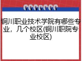 铜川职业技术学院有哪些专业，几个校区(铜川职院专业校区)