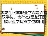 黑龙江民族职业学院是否有双学位，为什么(黑龙江民族职业学院双学位原因)