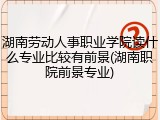 湖南劳动人事职业学院读什么专业比较有前景(湖南职院前景专业)