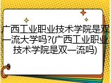 广西工业职业技术学院是双一流大学吗?(广西工业职业技术学院是双一流吗)