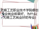 无锡工艺职业技术学院哪些专业就业前景好，为什么(无锡工艺就业好的专业)