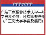 广东工商职业技术大学一年学费多少钱，还有哪些费用(广工商大学学费及费用)