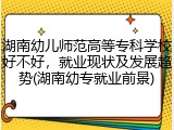 湖南幼儿师范高等专科学校好不好，就业现状及发展趋势(湖南幼专就业前景)