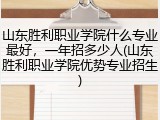 山东胜利职业学院什么专业最好，一年招多少人(山东胜利职业学院优势专业招生)
