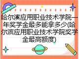 哈尔滨应用职业技术学院一年奖学金最多能拿多少(哈尔滨应用职业技术学院奖学金最高额度)