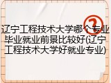 辽宁工程技术大学哪个专业毕业就业前景比较好(辽宁工程技术大学好就业专业)