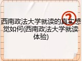西南政法大学就读的真实感觉如何(西南政法大学就读体验)