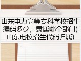 山东电力高等专科学校招生编码多少，隶属哪个部门(山东电校招生代码归属)