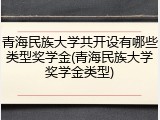 青海民族大学共开设有哪些类型奖学金(青海民族大学奖学金类型)