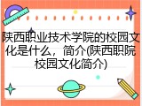 陕西职业技术学院的校园文化是什么，简介(陕西职院校园文化简介)