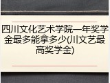 四川文化艺术学院一年奖学金最多能拿多少(川文艺最高奖学金)
