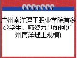 广州南洋理工职业学院有多少学生，师资力量如何(广州南洋理工规模)