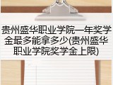 贵州盛华职业学院一年奖学金最多能拿多少(贵州盛华职业学院奖学金上限)