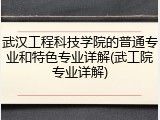 武汉工程科技学院的普通专业和特色专业详解(武工院专业详解)