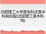 沈阳理工大学是专科还是本科院校呢(沈阳理工是本科吗)