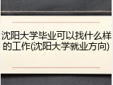 沈阳大学毕业可以找什么样的工作(沈阳大学就业方向)