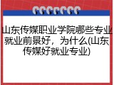 山东传媒职业学院哪些专业就业前景好，为什么(山东传媒好就业专业)