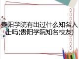 贵阳学院有出过什么知名人士吗(贵阳学院知名校友)