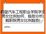 鹤壁汽车工程职业学院学生男女比例如何，趋势分析(鹤职院男女比例趋势)